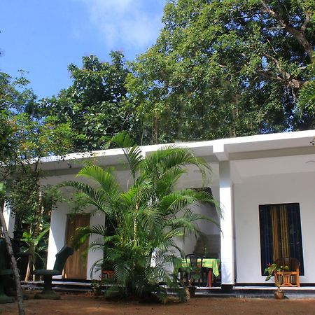 Sigiriya Mana B&B Exterior foto