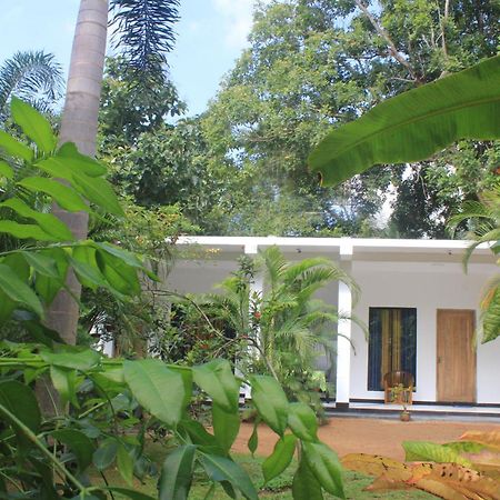 Sigiriya Mana B&B Exterior foto