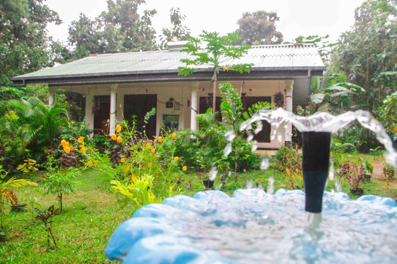 Sigiriya Mana B&B Exterior foto