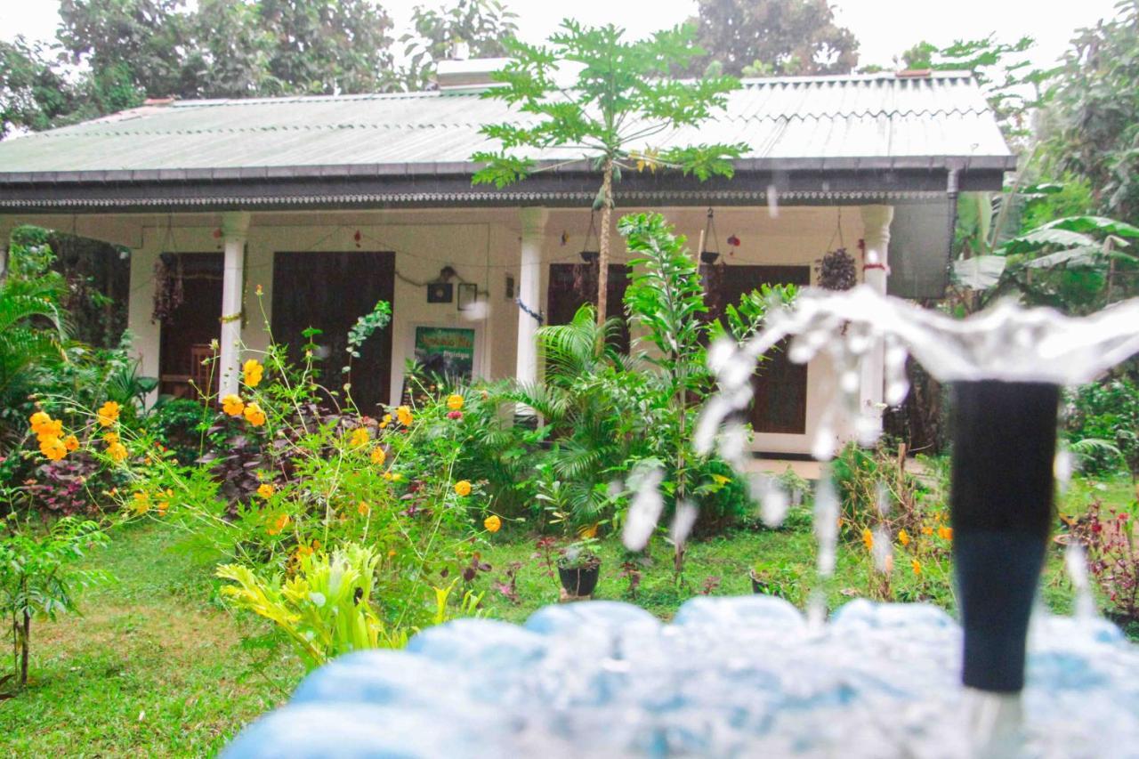 Sigiriya Mana B&B Exterior foto